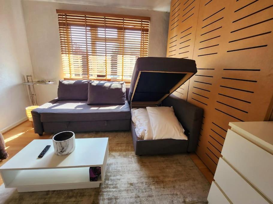 Spare In Peaceful Neighbourhood Near The Centre Of Apartment *